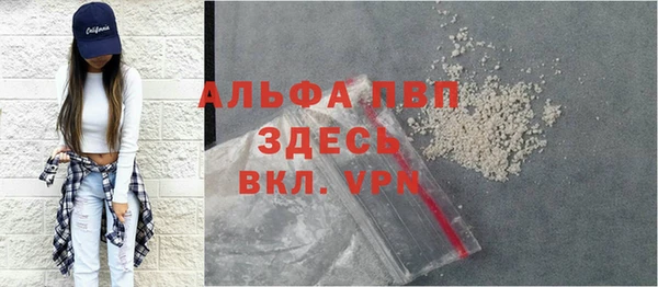 сатива Баксан